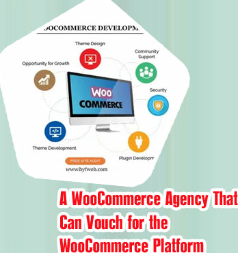 Woocommerce development agency
